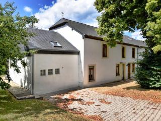 Fine group house with sauna garden - Chiny - 3