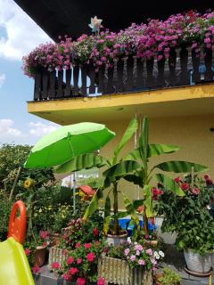 Ferienwohnung Hub - Nittel - 3