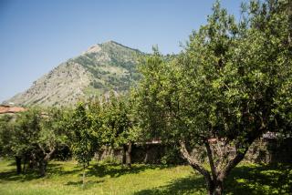 Casa Vacanza Dal Cavaliere - Montesarchio - 6