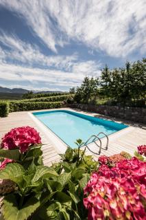 Weingut Weidlhof - Suite & Breakfast - Vacation for wine lovers - Caldaro - 5