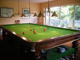 Camillaun Lodge with Lough Corrib Boat Hire - Oughterard - 4
