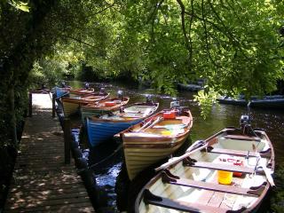 Camillaun Lodge with Lough Corrib Boat Hire - Oughterard - 6