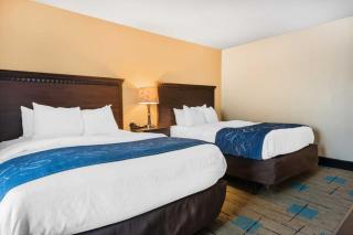 Comfort Suites near MCAS Beaufort - Beaufort - 7