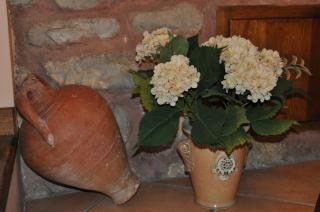 Hotel la Casa del Abuelo - Albarracín - 2