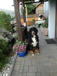 Pension Rieder - Leogang - 6
