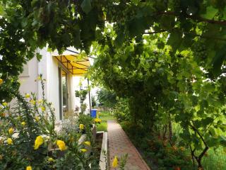 Casa Dany - Corbu - 3