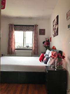 Spacious House 15min to Canary Wharf/O2/Excel/Central London - Londra - 9