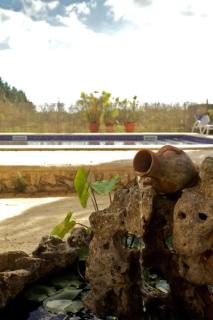 Ribes - Santa Margalida - 4