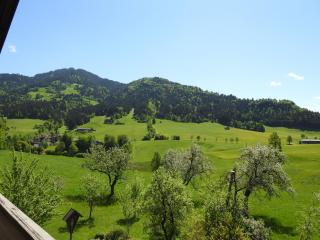 Bauernhof Hintenberg - Itter - 5
