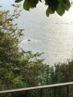 Cala San Francesco B&B - Agropoli - 9