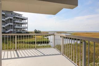 Triton's Trumpet - Ocean City - 4
