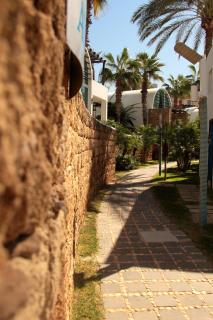 Pangea Beach Resort - Jieh - 6