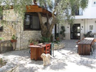 Mafrolla Carlo - Vieste - 0
