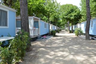 Topcamp in Union Lido - Cavallino-Treporti - 0
