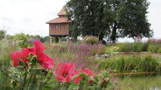 Gite Chambre d'hotes insolite dans un pigeonnier à 5 minutes de Marciac Gers - Monlezun - 0
