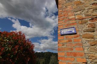 Agriturismo Poggio Bonelli - Castelnuovo Berardenga - 2