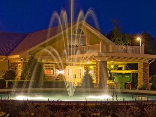 Colonel Williams Resort and Suites - Lake George - 0