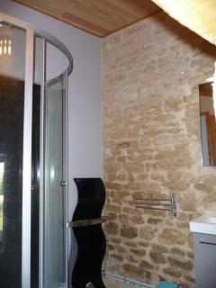 Le Haut Fontaine : minis maisons de charme - Saint-Georges-lès-Baillargeaux - 5