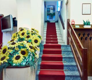 Hotel Pavone - Milano - 6