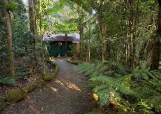 Springbrook Lyrebird Retreat - 4