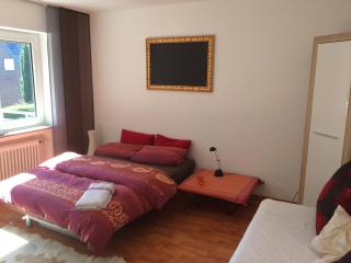 Ferienwohnung Globetrotter - Horstmar - 3
