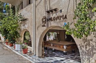 Philoxenia Apartments - Karpathos - 6