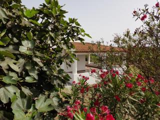 Villa Capo Grillo Cottage - Vulcano - 8