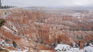 Bybee's Steppingstone Motel - 2