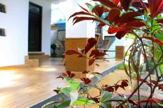 Miracle Home Stay - 1