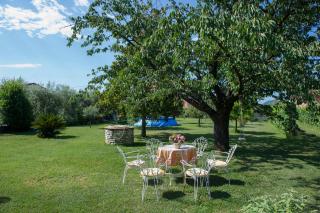 Nel Giardino Degli Ulivi - Castelnuovo Magra - 4