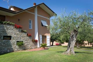 Nel Giardino Degli Ulivi - Castelnuovo Magra - 6
