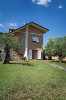 Nel Giardino Degli Ulivi - Castelnuovo Magra - 8