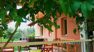 Kefalonia apartments - Marias studios - 2 bedroom apartment in orchard, Spartia - Spartià - 9