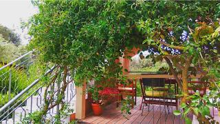 Kefalonia apartments - Marias studios - 2 bedroom apartment in orchard, Spartia - Spartià - 8