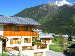 Cosy chalet near the ski area - Le Villard - 0