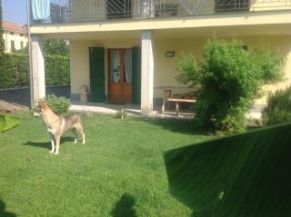 B&B Lattemiele - Fontanellato - 1