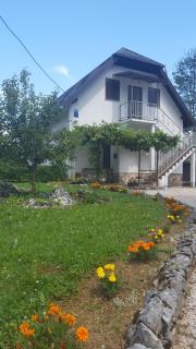 House Luketić - Rastovača - 7