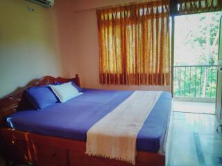 Menezes House - Panaji - 3