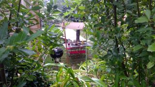 La MoMA - Vence - 3