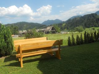 Apartmaji Bremec - Bohinj - 6
