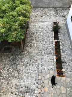 Ismar Residence - Sarajevo - 6