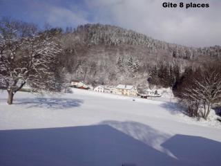 Gites typiques au coeur des Hautes Vosges - Saulxures-sur-Moselotte - 7