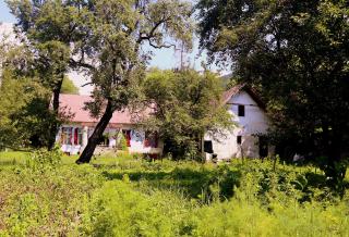 Casa Memoriala George Stephanescu - Căpăţîneni-Ungureni - 9