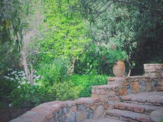 Auberge des Cascades Imouzzer - Paradise Valley - Imouzzer des Ida Ou Tanane - 3