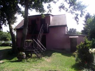 Agroturystyka - Wczasy Rodzinne - Niechorze - 7