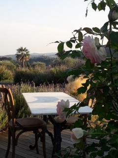 Chambre d'hotes Casa Biba - Vence - 8