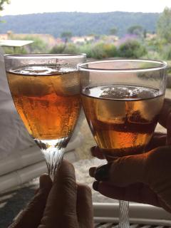 Chambre d'hotes Casa Biba - Vence - 9