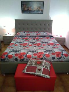 House Rose - Rose - 0