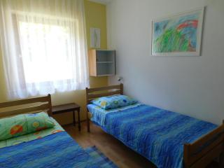 Apartment Neda Z-velika okućnica, besplatni parking i optički wi-fi - Labin - 1
