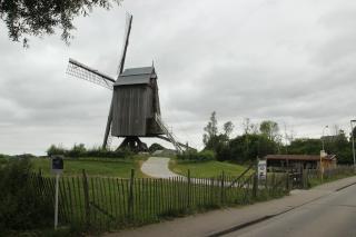 B&B Dotter 17 - Erpe-Mere - 9